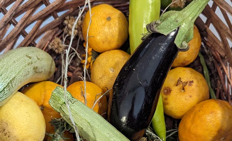 Læs mere om antiinflammatorisk kost