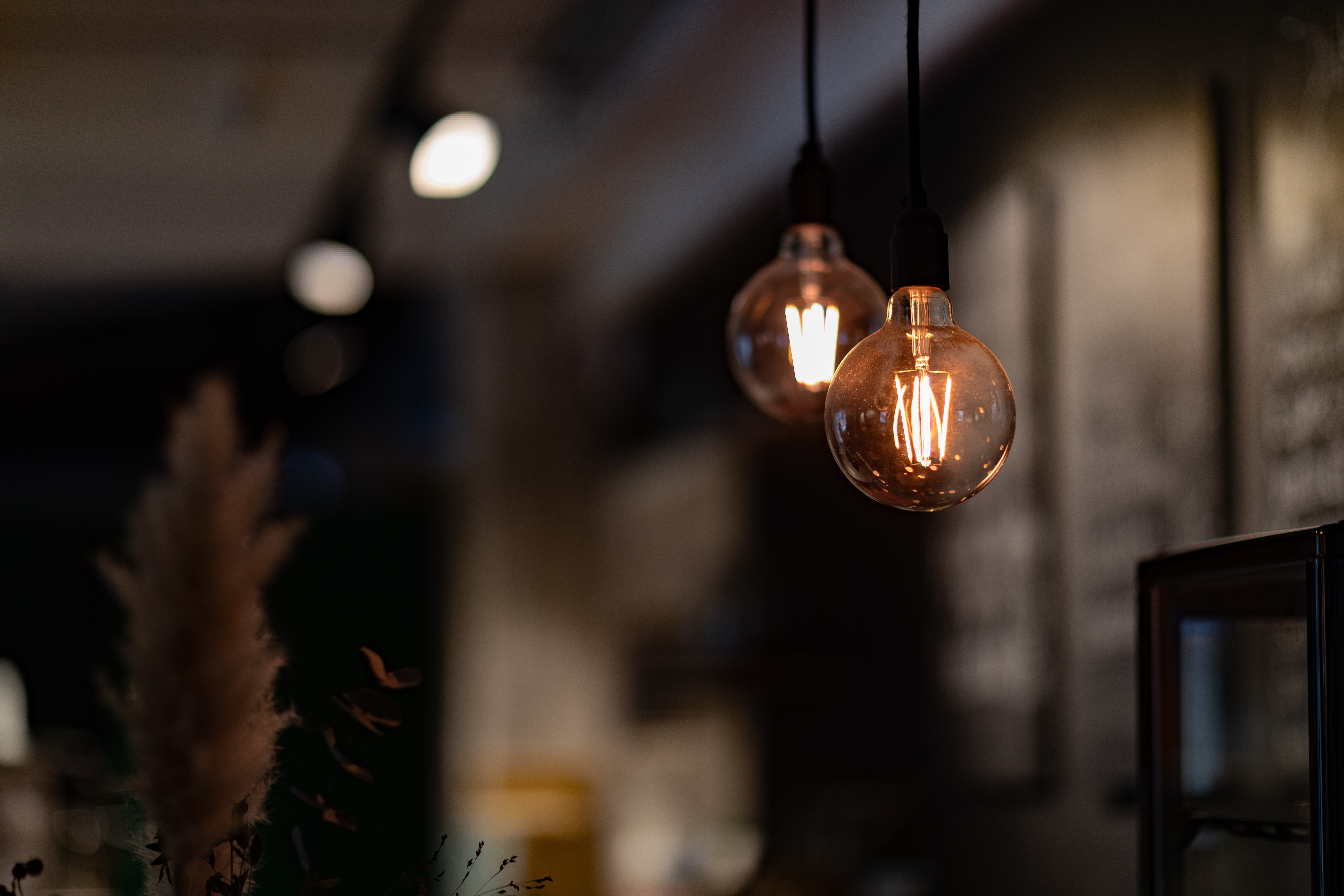 <h1>Kunsten at spise fisk</h1>