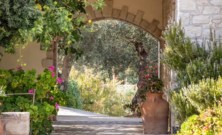 Dalabelos Estate Crete 008999